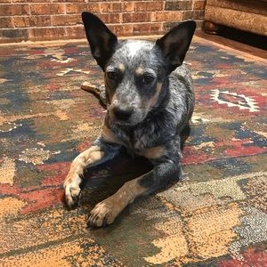 Meet your Posher, Annika